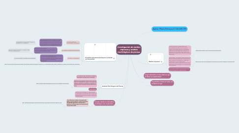 Mind Map: Investigación de medios impresos y análisis morfológicos de prensa.