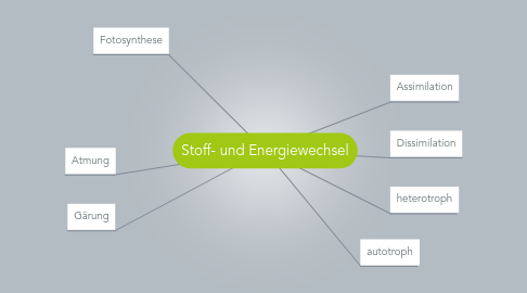 Mind Map: Stoff- und Energiewechsel