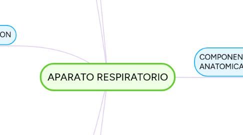 Mind Map: APARATO RESPIRATORIO