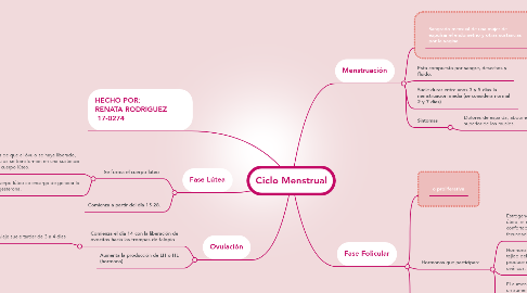 Ciclo Menstrual | MindMeister Mapa Mental