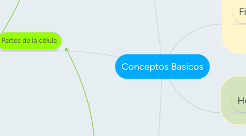 Mind Map: Conceptos Basicos