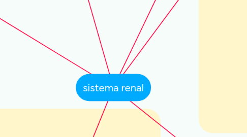 Mind Map: sistema renal