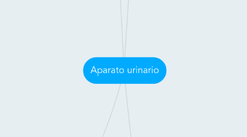 Mind Map: Aparato urinario