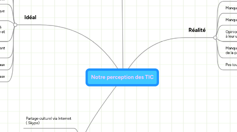 Mind Map: Notre perception des TIC