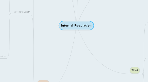 Mind Map: Internal Regulation