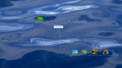 Mind Map: Miss Lilick's Food Chain