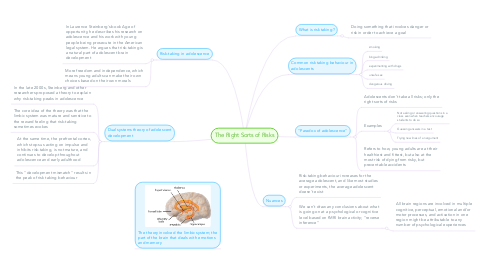 Mind Map: The Right Sorts of Risks