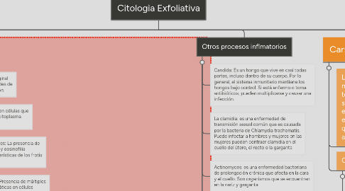 Mind Map: Citologìa Exfoliativa