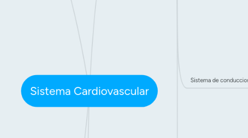 Mind Map: Sistema Cardiovascular