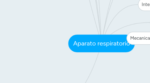 Mind Map: Aparato respiratorio