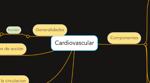 Mind Map: Cardiovascular