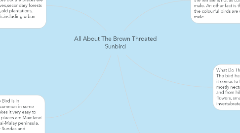 Mind Map: All About The Brown Throated Sunbird