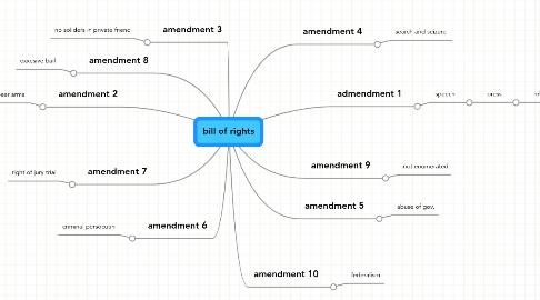 Mind Map: bill of rights