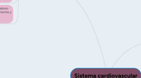 Mind Map: Sistema cardiovascular