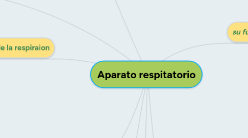 Mind Map: Aparato respitatorio