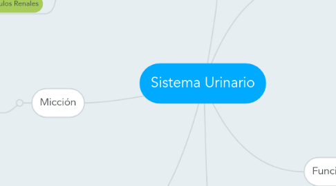 Mind Map: Sistema Urinario