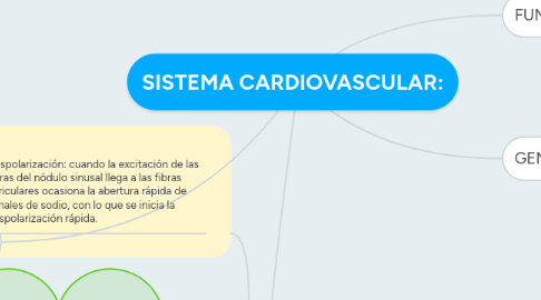 Mind Map: SISTEMA CARDIOVASCULAR: