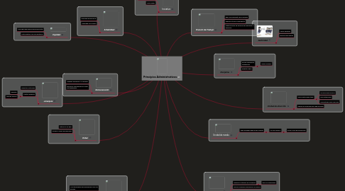 Mind Map: Principios Administrativos