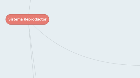 Mind Map: Sistema Reproductor