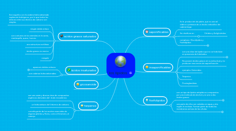 Mind Map: los lipidos