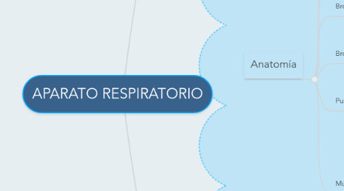 Mind Map: APARATO RESPIRATORIO