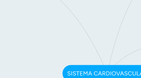 Mind Map: SISTEMA CARDIOVASCULAR