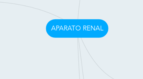 Mind Map: APARATO RENAL
