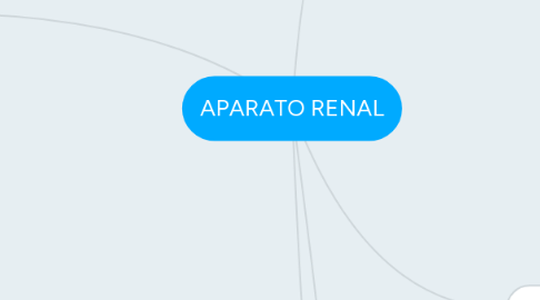 Mind Map: APARATO RENAL