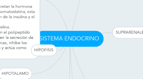 Mind Map: SISTEMA ENDOCRINO