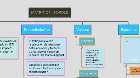 Mind Map: MATRIZ DE LEOPOLD