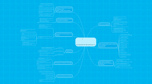 Mind Map: La importancia del protocolo