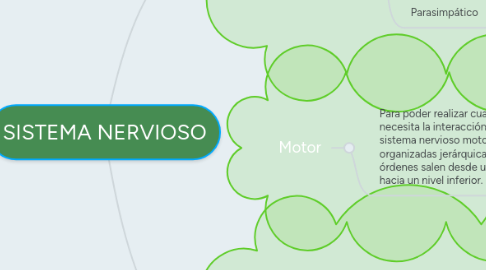 Mind Map: SISTEMA NERVIOSO