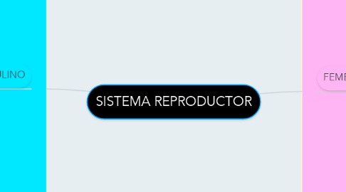 Mind Map: SISTEMA REPRODUCTOR