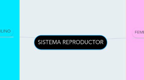 Mind Map: SISTEMA REPRODUCTOR