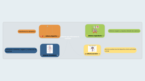 Mind Map: Sistemas que intervienen la nutrición