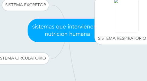 Mind Map: sistemas que intervienen la nutricion humana