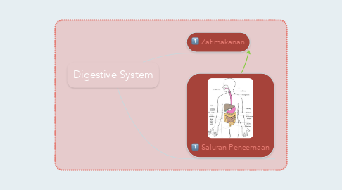 Mind Map: Digestive System