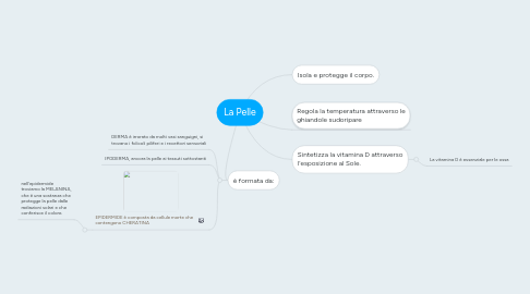 Mind Map: La Pelle