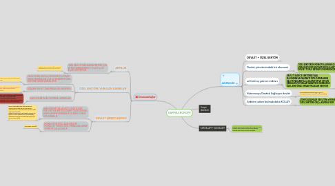 Mind Map: KARMA EKONOMİ