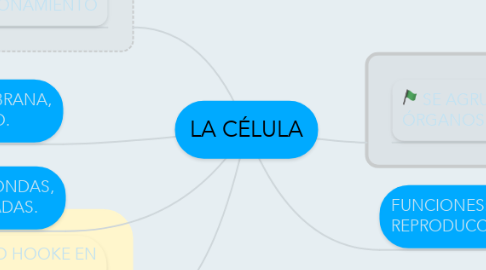 Mind Map: LA CÉLULA