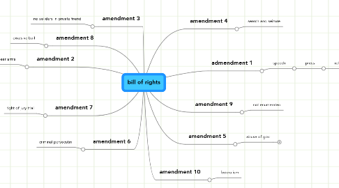 Mind Map: bill of rights