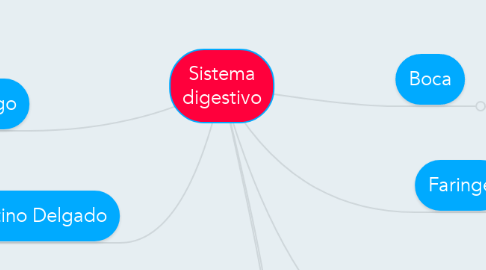 Mind Map: Sistema digestivo