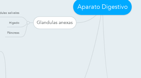 Mind Map: Aparato Digestivo