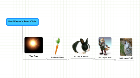 Mind Map: Rae Wesner's Food Chain