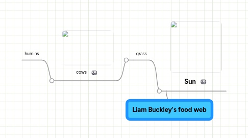 Mind Map: Liam Buckley's food web