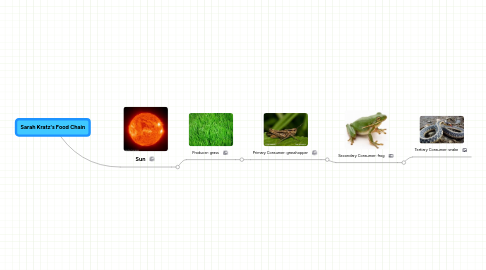 Mind Map: Sarah Kratz's Food Chain