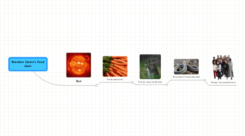 Mind Map: Brendon Quinn's food chain