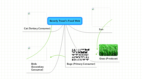 Mind Map: Beverly Troxel's Food Web
