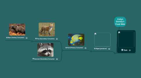 Mind Map: Collyn Dorney's Food Web