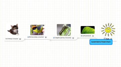 Mind Map: Sarah Kerns Food Chain